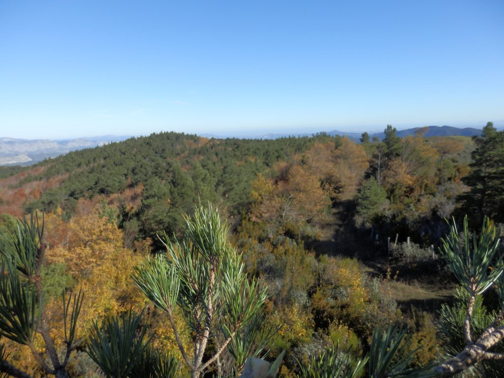 TOPONYMES du Fenouillèdes | Prats de Sournia